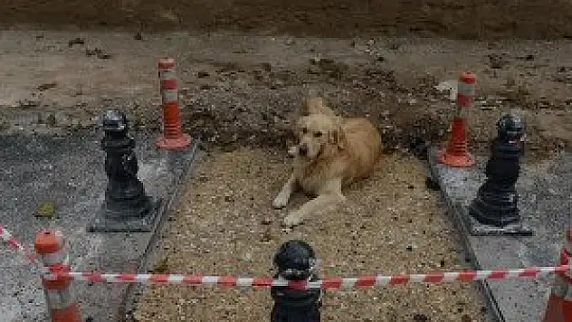 Mozaiğin üstündeki asfalt Ünal'ın talimatıyla kaldırıldı