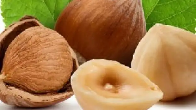 Fındık üreticilerine iyi haber