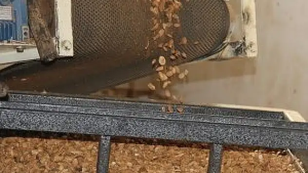 Kayısı tankların zırhını da koruyor