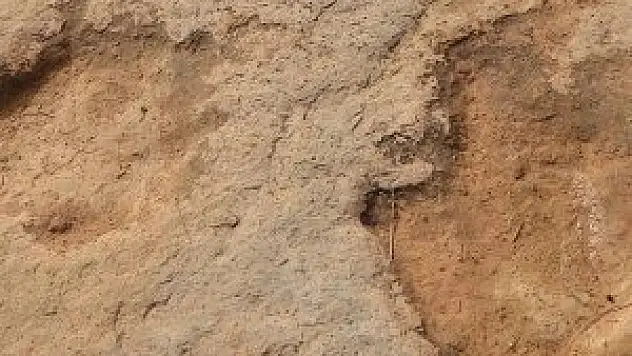 Tunus'ta dinozorların ayak izleri bulundu