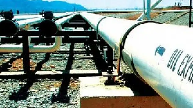 'Petrol fiyatlarındaki düşüş faiz artışını erteletmez'