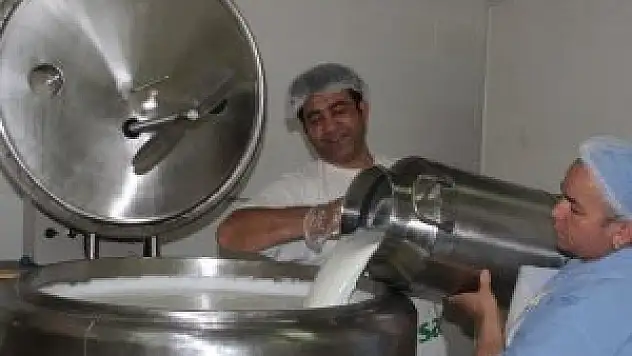 Süt ve süt ürünleri üretiminde artış