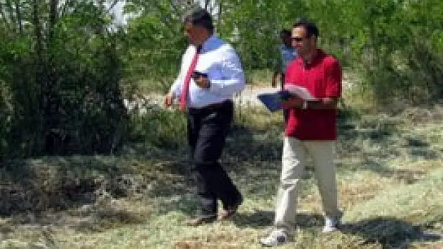 Ereğli'de 300 bin ağaç toprakla buluştu