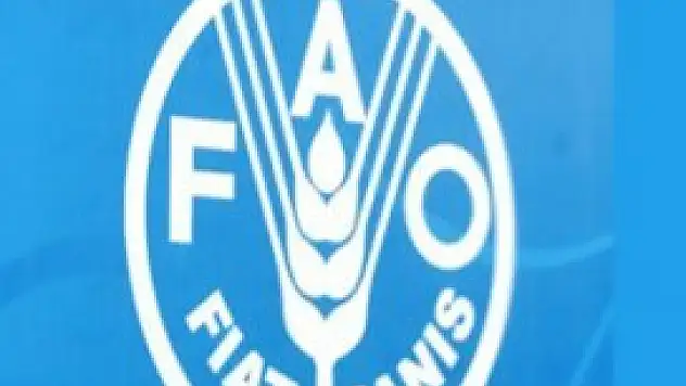 Türkiye FAO Konseyi üyeliğine seçildi