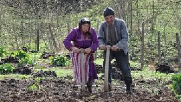 Kırsal nüfus yaşlanıyor