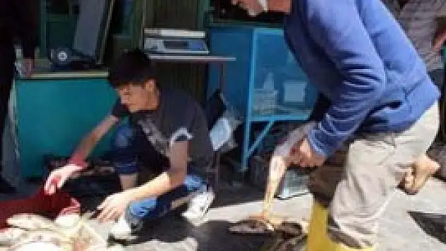 En fazla balık tutan avcıya altın ödülü