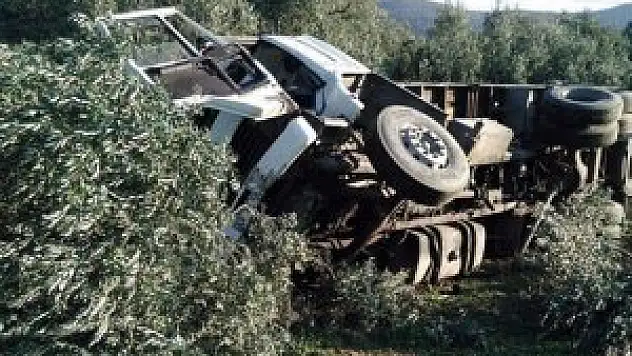 Kamyon zeytin bahçesine uçtu