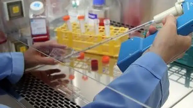 Kök hücre bağışında gençler ön sırada