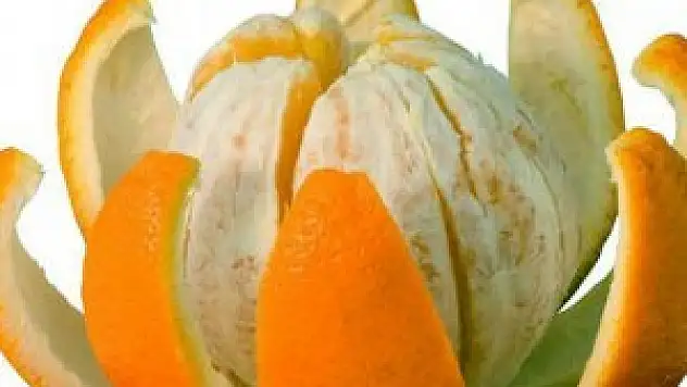 Portakal kabuğu can aldı