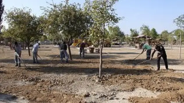 Karatay'da 130 bin ağaç ve bitki türü toprakla buluştu