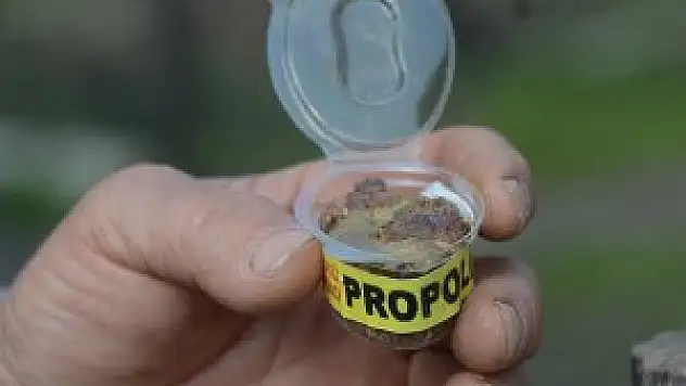 'Dünyanın en güçlü antioksidan kaynağı: Propolis'