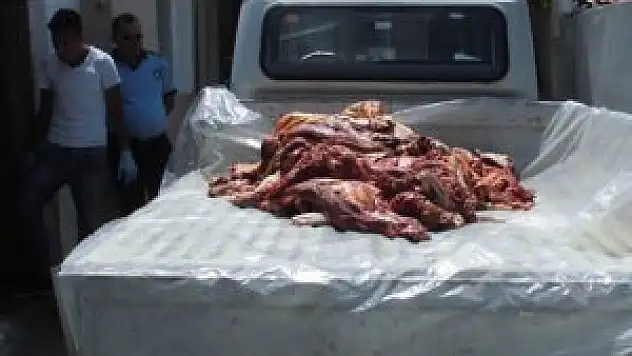 Bursa'da at eti operasyonu