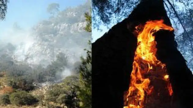 Kış ortasında orman yangını