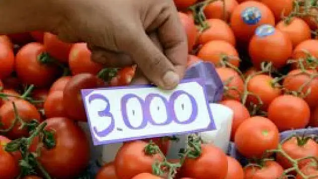 Domatesteki kalite tüketiciye yaradı