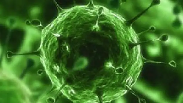 200 virüs peşimizde