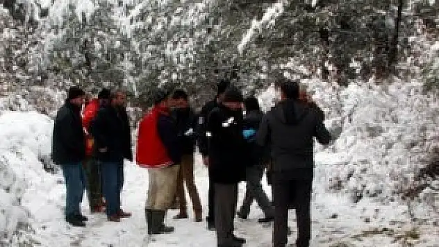 Domuz sanıp bakın kimi öldürdü!