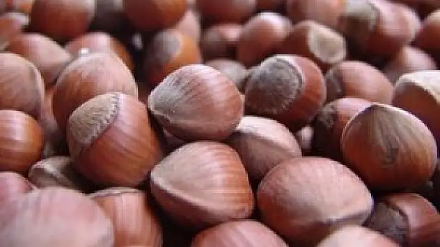 Sakarya Ticaret Borsası'nda günün fiyatları