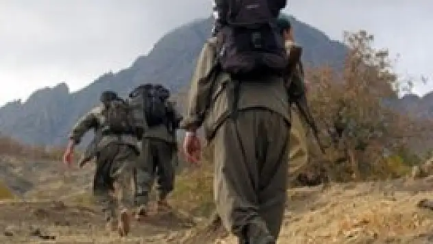 Siirt'te 3 PKK'lı kadın cesedi bulundu