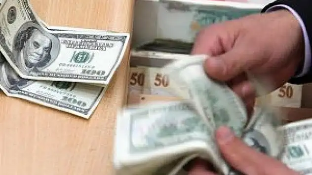 Dolar geçen yıl yatırımcısının yüzünü güldürdü