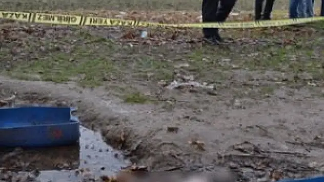 Ormanda 6 aylık cenin bulundu