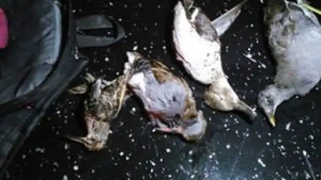 Kaçak avcılara 6 bin 576 TL ceza