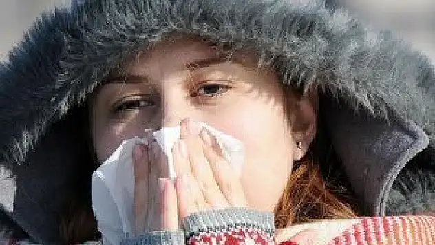 Domuz gribinden nasıl korunabiliriz?