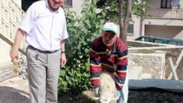 Kayıp koyunun sahibi anonsla aranıyor