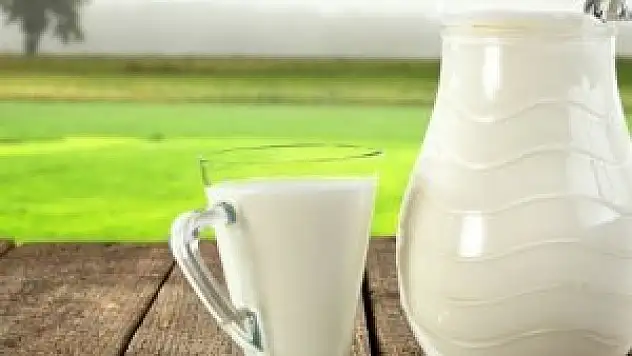 Süt üretimi arttı
