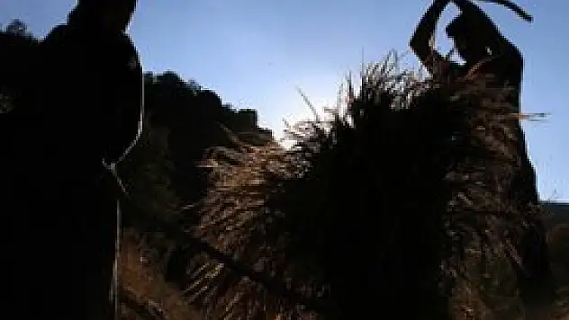 Türkiye tahıl veriminde 'çağ atladı'