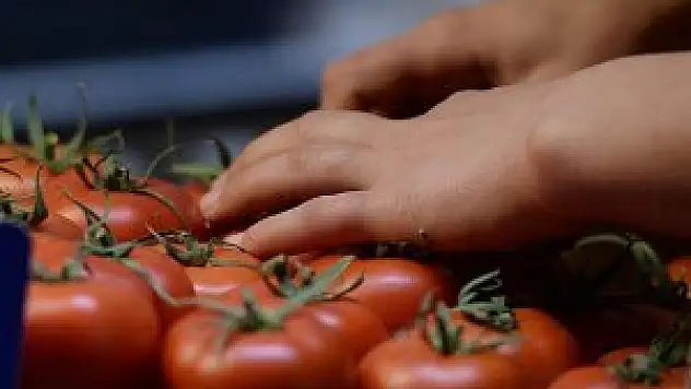 Rusya yaptırımları 'esnetiyor'