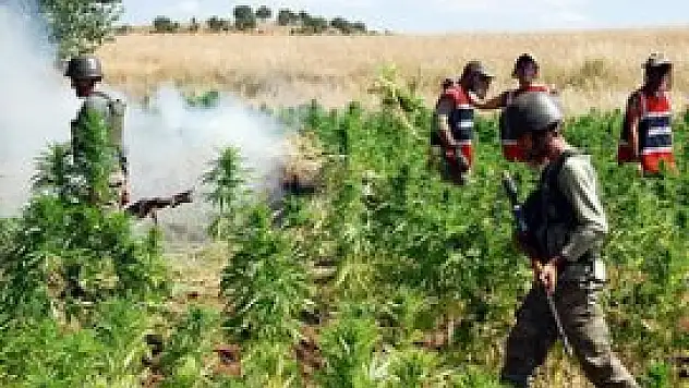 Diyarbakır'da uyuşturucu tacirlerine göz açtırılmıyor