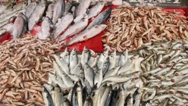 Balık şifa kaynağı