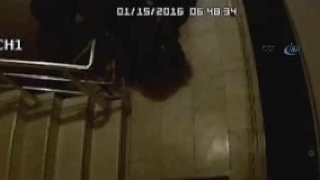 Öldürüp ormana attılar