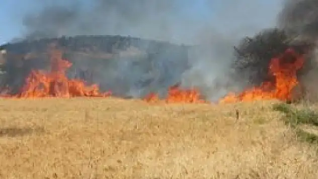 Konya'da buğday ekili alan yandı