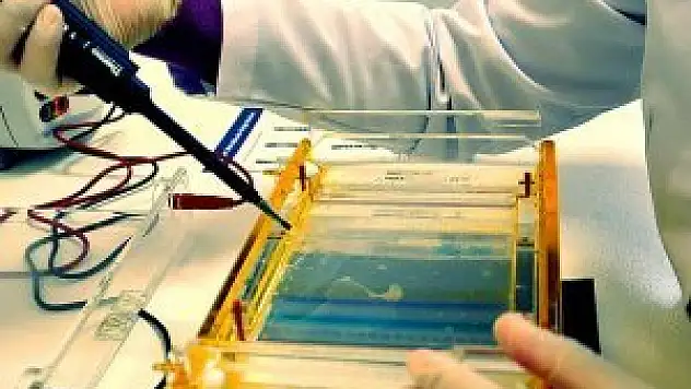 Gıda analizleri hız kesmedi