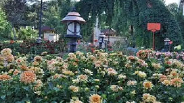 Türkiye endemik bitki zengini