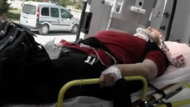 Otomobil şarampole devrildi: 2 yaralı