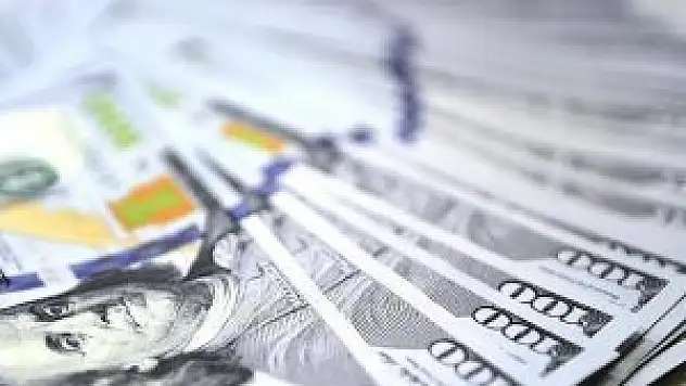 Dolar/TL 2,95 seviyelerine geriledi