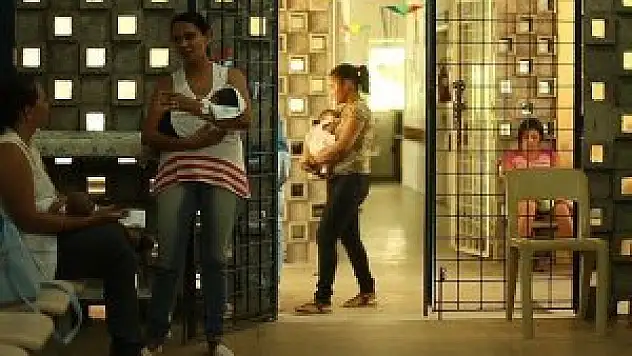 'Zika virüsü seyahatlerle taşınabilir'