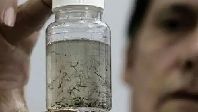 'Zika virüsü insanlara uyum sağlıyor'