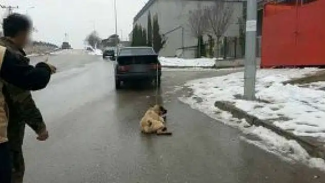 Otomobilinin arkasına bağladığı köpeğini sürükledi