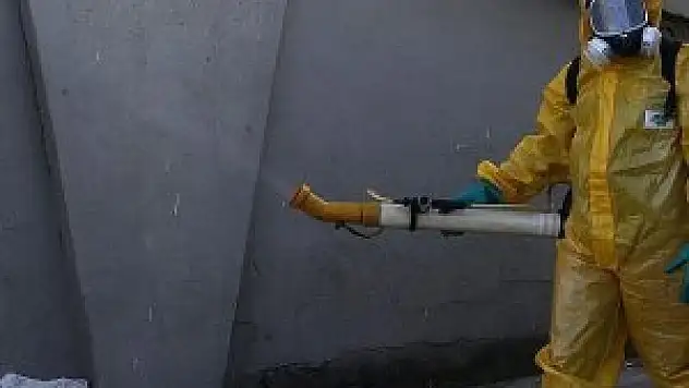 Florida'da Zika virüsü nedeniyle 4 ilçede olağanüstü hal ilan edildi