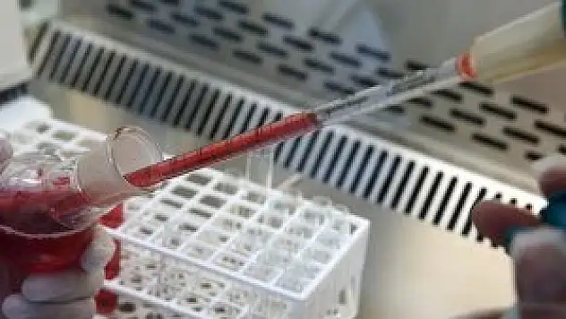 Türk akademisyenler yapay kan üretti
