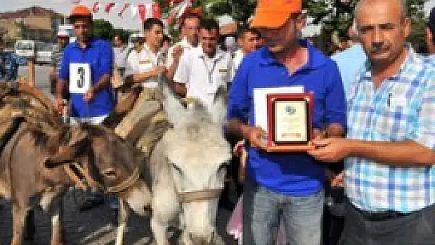 Akşehir'de eşek yarışı yapıldı