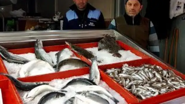 Hava ısındı balık fiyatları düştü
