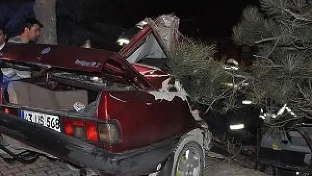 İkiye bölünen otomobilden yaralı kurtuldular