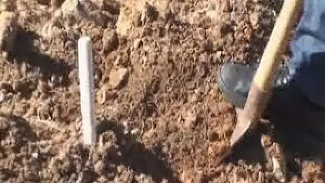 Mezarlık yanına gömülen köpek yavrusu polisi alarma geçirdi