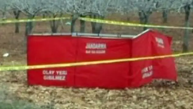 Yanmış erkek cesedi bulundu