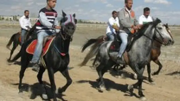 Konya Rahvan Atları rüzgâr gibi esti