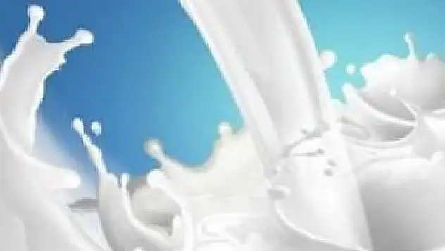 Süt ve süt ürünleri üretimi